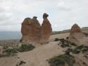 Camel Rock
Picture # 3756