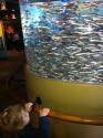 At the Aquarium
Picture # 3675