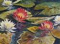 Waterlillies
Picture # 3275
