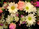 sample picture