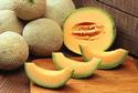 Cantaloupes
Picture # 958
