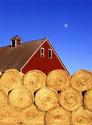 Baled hay and Barn
Picture # 962
