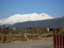 Mount Ruapehu from National Park
Picture # 2572
