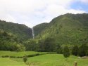 Wairere Falls
Picture # 2570
