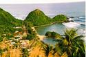 Samoa Town and Fagatele Bay
Picture # 1419