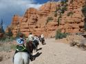 Dixie National Forest, Utah
Picture # 3198
