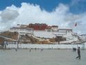 Potala Palace
Picture # 1110
