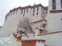 Potala Palace
Picture # 1111
