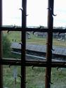 Window view
Picture # 1880
