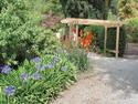 The Garden at Walter Peak Station
Picture # 3340
