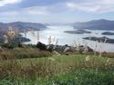 The Port Hills
Picture # 3313
