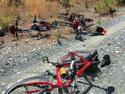 Resting Bikes
Picture # 3317
