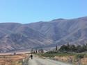 Rugged beauty of the Southern Alps
Picture # 3320
