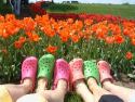 Tulips with Happy Shoes
Picture # 1638
