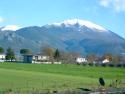 Countryside from Assisi to Pompeii
Picture # 1504
