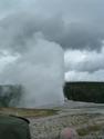 Old Faithful
Picture # 1823
