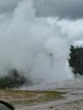 Old Faithful
Picture # 1819
