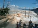 Mammoth Hot Springs
Picture # 1825
