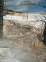 Mammoth Hot Springs
Picture # 1824
