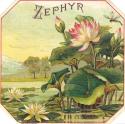 Zephyr
Picture # 3571
