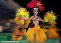 Hula Dancer
Picture # 1472