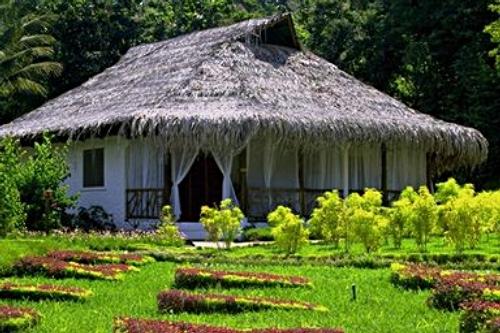 Daily photo - Thatched Roof House