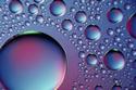 Droplets
Picture # 881
