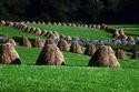 Haystacks
Picture # 1368
