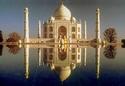 Taj Mahal
Picture # 1596
