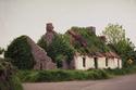 Thatched Ruins
Picture # 1373
