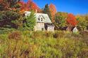 Abandoned Farm
Picture # 534

