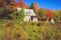 Abandoned Farm
Picture # 534
