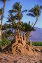 Sand Castle
Picture # 1180