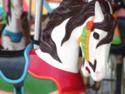 Carousel Horse
Picture # 1340
