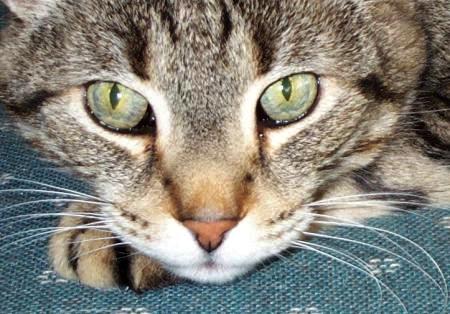 Daily photo - Axelrod 2