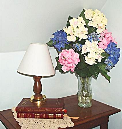 Daily photo - Hydrangea and Books