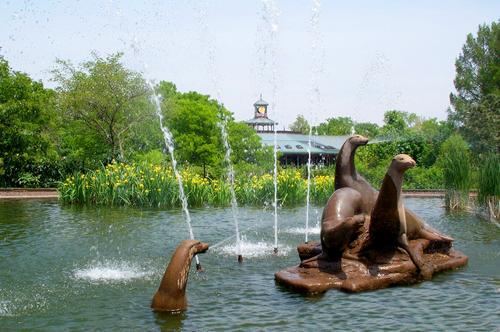 Daily photo - Fun Fountain