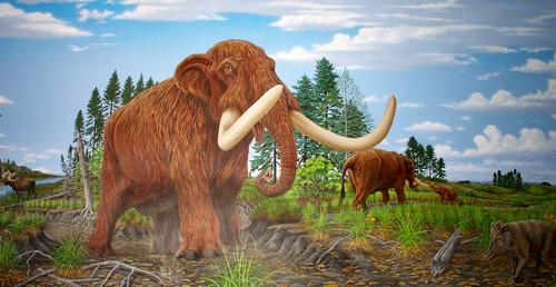 Daily photo - Mastodon
