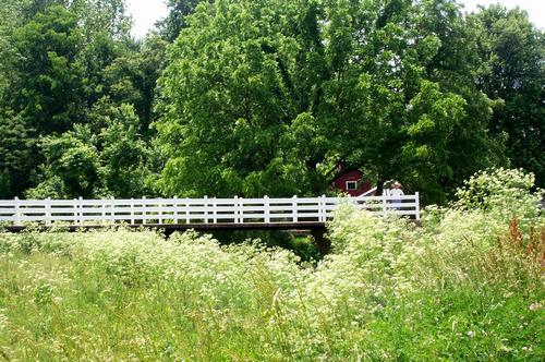 Daily photo - Wooden Bridge