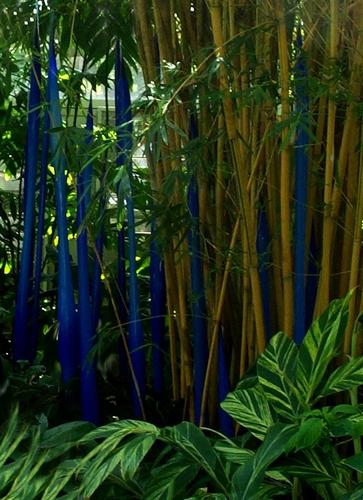 Daily photo - Blue Stems - handblown Chihuly glass