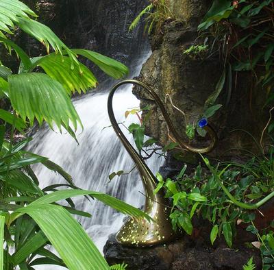 Daily photo - Chihuly Glass and Waterfall