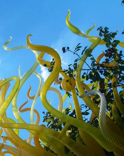 Daily photo - Chihuly Glass on the Rose Arbor
