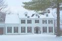 Winter home
Picture # 545
