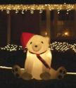 Christmas Polar Bear
Picture # 556

