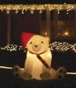 Christmas Polar Bear
Picture # 556
