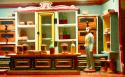 Miniature Store
Picture # 774