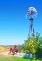 Windmill on the Pumpkin Farm
Picture # 836
