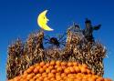 Halloween
Picture # 845