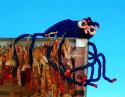 Halloween Spider
Picture # 827
