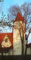Old Dairy 1
Picture # 65